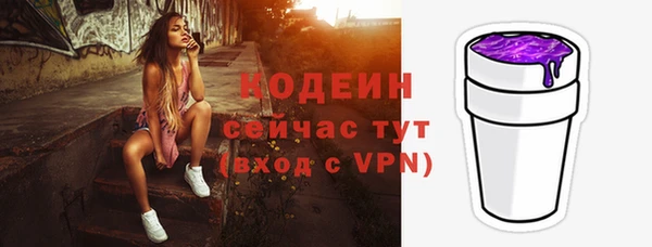 индика Лихославль