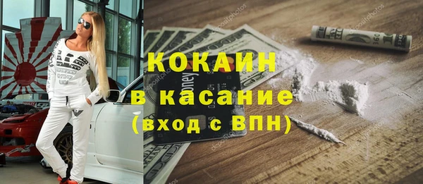 индика Лихославль
