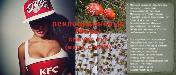 дурь Липки