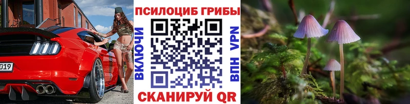 где найти   Александровск  Галлюциногенные грибы мицелий 